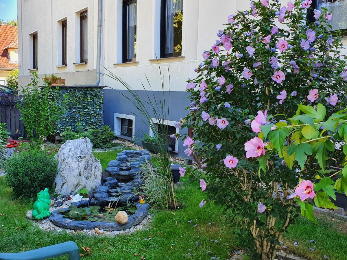 Ferienwohnung Mit Charme Neukieritzsch Luaran gambar